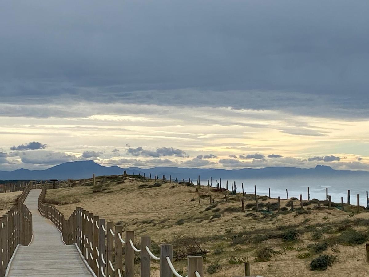 Labenne Ocean - Joli Appt Avec Terrasse -T2 300M Plage Εξωτερικό φωτογραφία